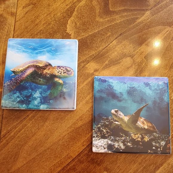 Sea Turtles 2 Pack Sandstone Coasters - Picture 7 of 8